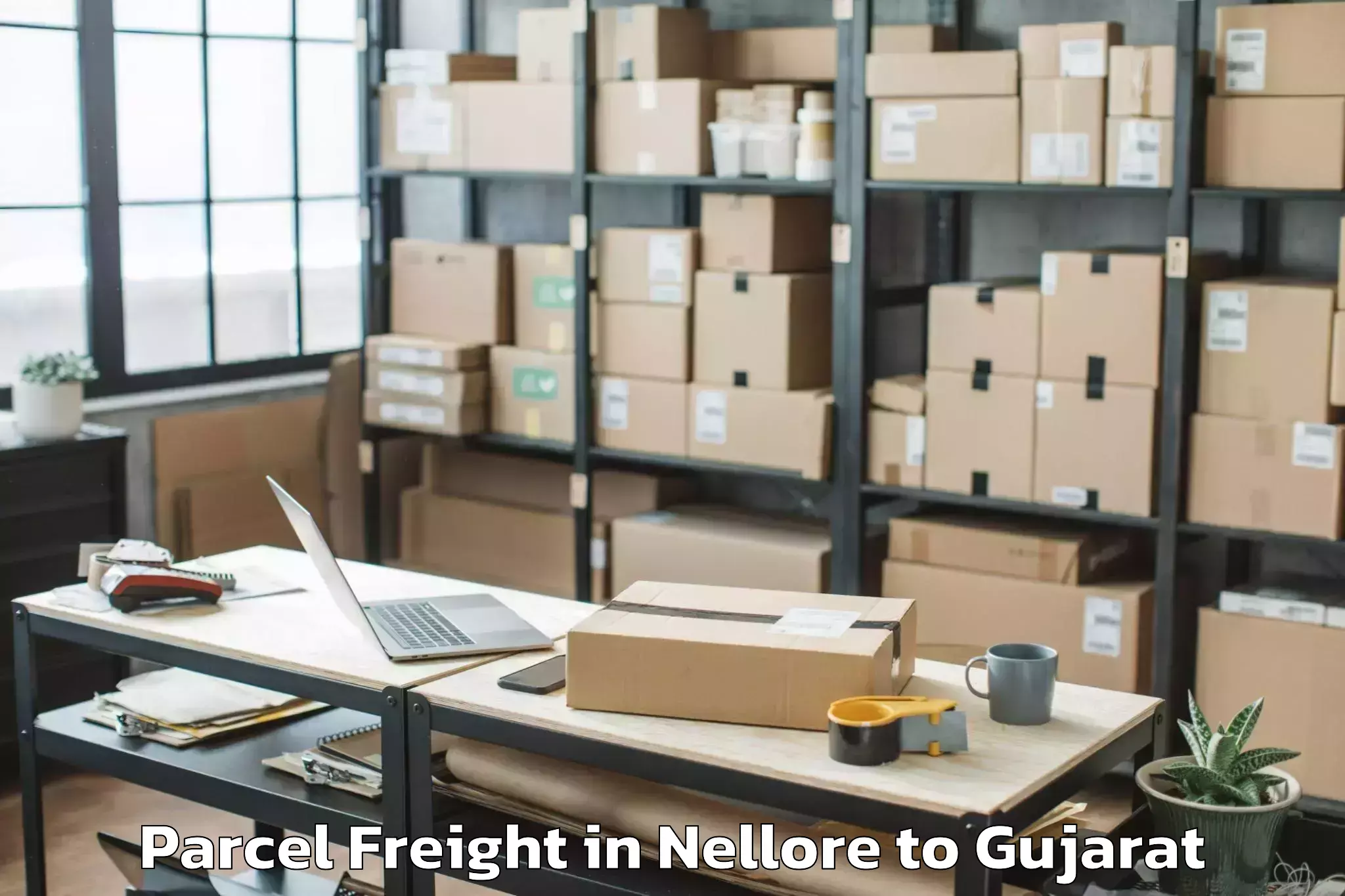 Professional Nellore to Vaghodia Ina Parcel Freight